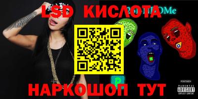 прущие грибы Будённовск