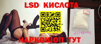 прущие грибы Будённовск