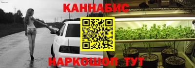 прущие грибы Будённовск