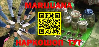 прущие грибы Будённовск