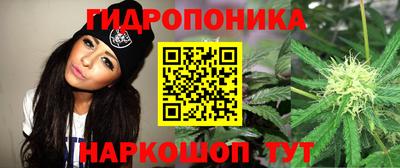 прущие грибы Будённовск